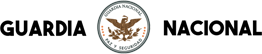 guardia nacional